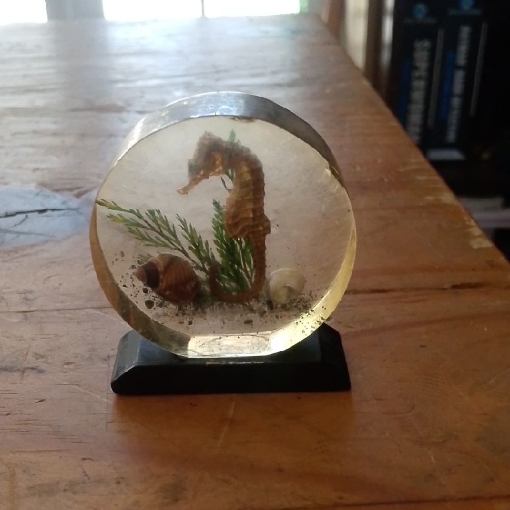 Seahorse Resin Display with Black Base